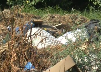 Δολοφονία στη Σκύδρα: Ξεσπά ο ξάδελφος του 76χρονου που σκότωσε τον 72χρονο – «Δεν μπορείς να αφαιρείς μια ψυχή για ένα ροδάκινο»