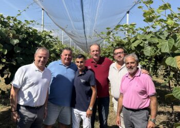 Δ. Σταμενίτης: «Η καλλιέργεια ακτινιδίου ένας από τους πιο δυναμικούς κλάδους της ελληνικής γεωργίας»