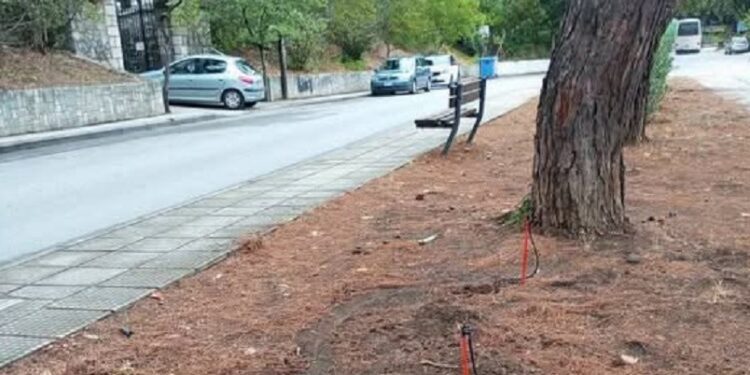 Γρασίδι χωρίς… γρασίδι: Η «ποτισμένη» ειρωνεία της Δημοτικής Αρχής Έδεσσας