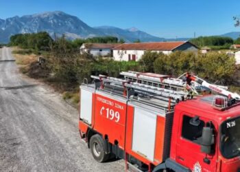 Συναγερμός στην Αριδαία: Πυρκαγιά απείλησε τον χώρο φιλοξενίας αδέσποτων ζώων – Μεγάλη κινητοποίηση της Πυροσβεστικής