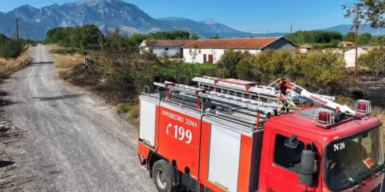 Συναγερμός στην Αριδαία: Πυρκαγιά απείλησε τον χώρο φιλοξενίας αδέσποτων ζώων – Μεγάλη κινητοποίηση της Πυροσβεστικής