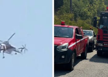 Εναέρια μέσα επιχειρούν στη Νέα Ζωή Σκύδρας – Μάχη με τις φλόγες