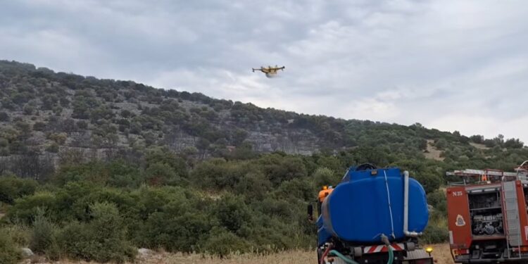 Μεγάλη φωτιά στο όρος Πάικο, κοντά στην Αραβησσό Πέλλας