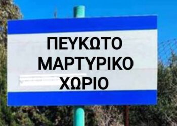 Παλαιό Πευκωτό: Μαρτυρικό χωριό με Προεδρικό Διάταγμα