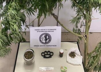 Έδεσσα: Σύλληψη για παραβάσεις της νομοθεσίας περί ναρκωτικών και περί όπλων