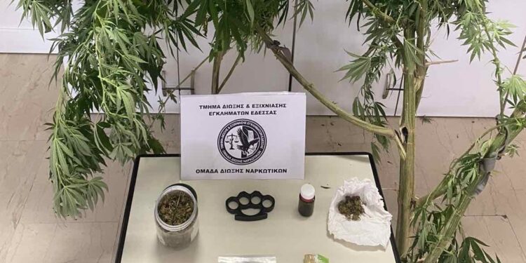 Έδεσσα: Σύλληψη για παραβάσεις της νομοθεσίας περί ναρκωτικών και περί όπλων