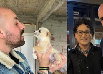 Σημαντική πρόοδος στη φροντίδα των αδέσποτων ζώων στον Δήμο Αλμωπίας – Αυξήθηκαν οι υιοθεσίες, αποδίδει η συνεργασία Δήμου και Φιλοζωικής