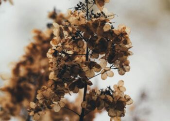 Τα τρία ζώδια που ανοίγουν νέο κύκλο στη ζωή τους