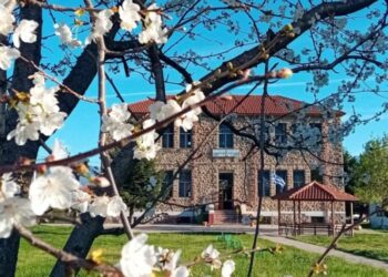 Ευχαριστήριο Δημοτικού Σχολείου Αψάλου