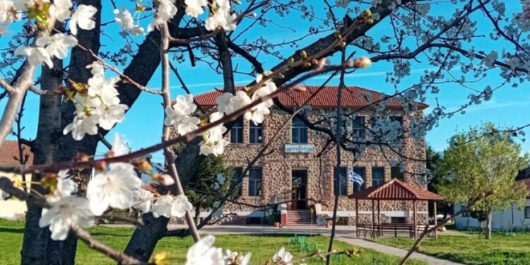 Ευχαριστήριο Δημοτικού Σχολείου Αψάλου