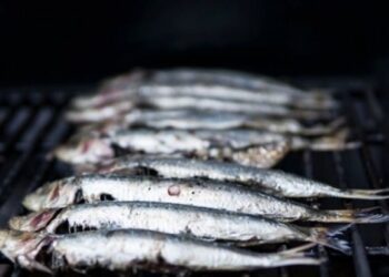 «Καμπανάκι» από ειδικούς: Ψάρι που καταναλώνεται στη Μεσόγειο είναι μολυσμένο