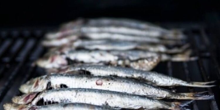 «Καμπανάκι» από ειδικούς: Ψάρι που καταναλώνεται στη Μεσόγειο είναι μολυσμένο