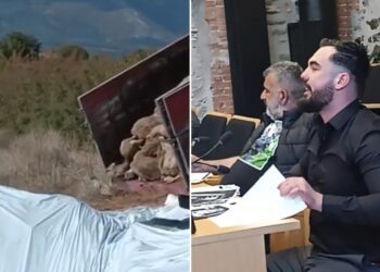 Δ. Κυριλίδης: Το Δαμιανό Πέλλας δεν είναι νεκροταφείο ζώων – Να σταματήσουν οι ταφές άμεσα