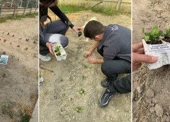 Ευχαριστήριο του 1ου Εργαστηριακού Κέντρου Αριδαίας προς το Κτήμα Βίωμα