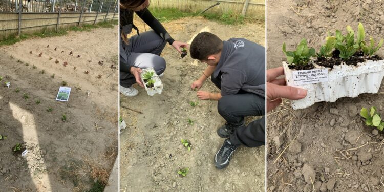 Ευχαριστήριο του 1ου Εργαστηριακού Κέντρου Αριδαίας προς το Κτήμα Βίωμα