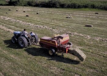 ΟΠΕΚΕΠΕ: Άρχισαν οι πληρωμές στους αγρότες – Σήμερα καταβάλλονται τρεις κατηγορίες ενισχύσεων ύψους 153 εκατ. ευρώ