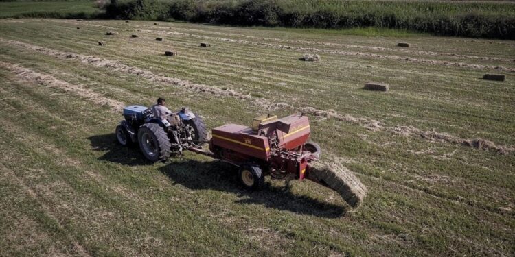 ΟΠΕΚΕΠΕ: Άρχισαν οι πληρωμές στους αγρότες – Σήμερα καταβάλλονται τρεις κατηγορίες ενισχύσεων ύψους 153 εκατ. ευρώ
