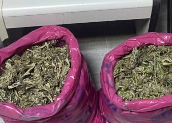 Πέλλα: Δύο συλλήψεις για ναρκωτικά – Κατασχέθηκαν 3 κιλά κάνναβης, ηρωίνη και κοκαΐνη