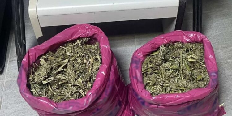 Πέλλα: Δύο συλλήψεις για ναρκωτικά – Κατασχέθηκαν 3 κιλά κάνναβης, ηρωίνη και κοκαΐνη