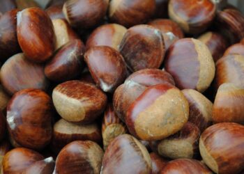 Κάστανα: Πώς ανεβαίνει η τιμή από το χωράφι στο μανάβικο