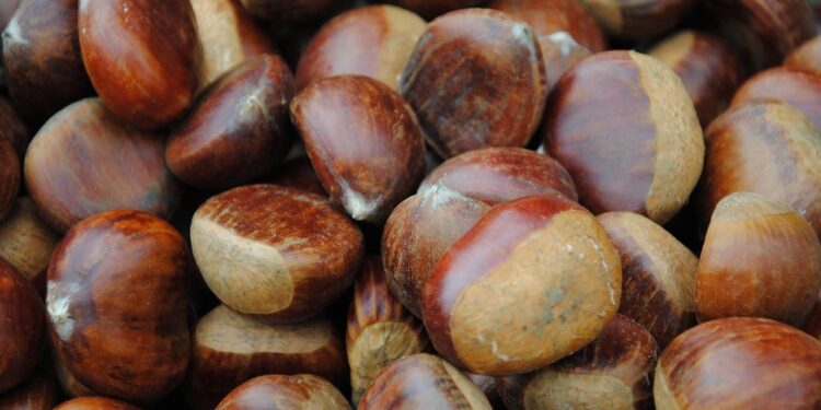Κάστανα: Πώς ανεβαίνει η τιμή από το χωράφι στο μανάβικο