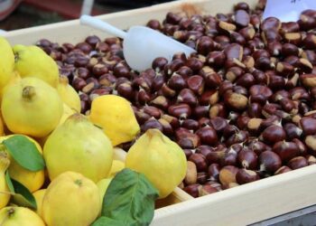 Η Όρμα γιορτάζει το κάστανο – Μια μέρα γεμάτη γεύσεις, μουσική και παράδοση