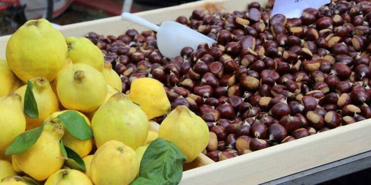 Η Όρμα γιορτάζει το κάστανο – Μια μέρα γεμάτη γεύσεις, μουσική και παράδοση