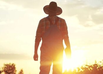 Χωρίς προκαταβολή το 2025 η πληρωμή βασικής από ΟΠΕΚΕΠΕ – Προσπάθεια να πληρωθούν οι οφειλές 2024 μέχρι τέλος του έτους