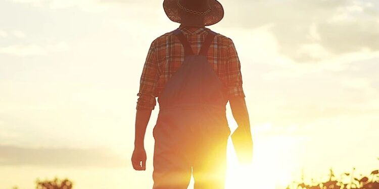 Χωρίς προκαταβολή το 2025 η πληρωμή βασικής από ΟΠΕΚΕΠΕ – Προσπάθεια να πληρωθούν οι οφειλές 2024 μέχρι τέλος του έτους