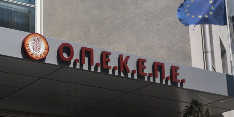 Σκάνδαλο ΟΠΕΚΕΠΕ: 37 συλλήψεις σε Αττική, Θεσσαλονίκη, Κρήτη, Ιωάννινα, Έδεσσα και Γιαννιτσά