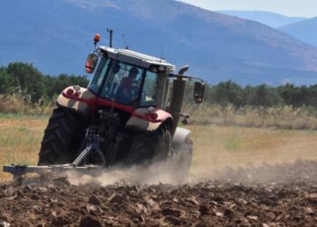 ΟΠΕΚΕΠΕ: Πώς δρούσε ο 38χρονος αρχηγός από τα Γιαννιτσά – Πολυτελή ταξίδια, Gucci, Prada και εικονικό διαζύγιο