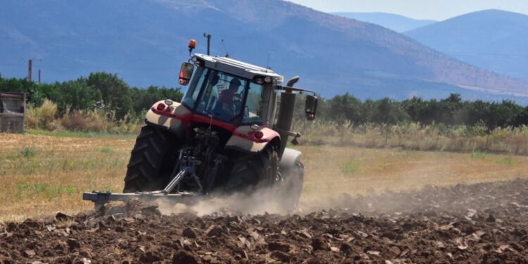 ΟΠΕΚΕΠΕ: Πώς δρούσε ο 38χρονος αρχηγός από τα Γιαννιτσά – Πολυτελή ταξίδια, Gucci, Prada και εικονικό διαζύγιο