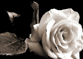 Ανείπωτη θλίψη για τον θάνατο μαθητή του 3ου Γυμνασίου Γιαννιτσών