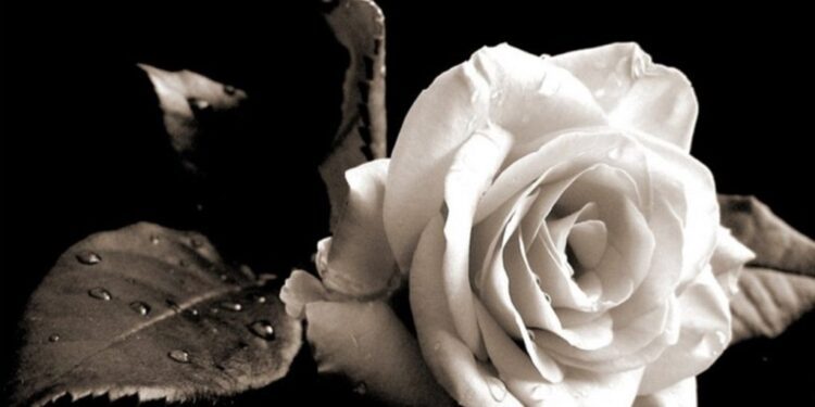 Ανείπωτη θλίψη για τον θάνατο μαθητή του 3ου Γυμνασίου Γιαννιτσών