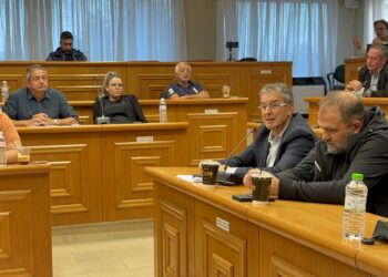 Παρέμβαση του Δημήτρη Μπίνου στη Συνεδρίαση του Δημοτικού Συμβουλίου Αλμωπίας