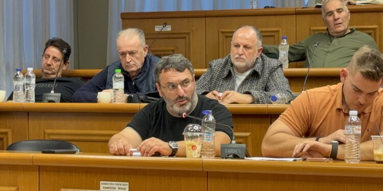 Ενημέρωση του Αντιδημάρχου Καθημερινότητας Γ. Θεολόγου στο Δημοτικό Συμβούλιο Αλμωπίας