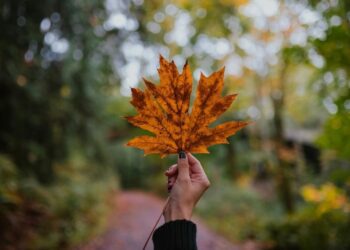 Ο Νοέμβριος θα είναι ένας από τους καλύτερους μήνες ολόκληρου του 2025 για αυτά τα 5 ζώδια