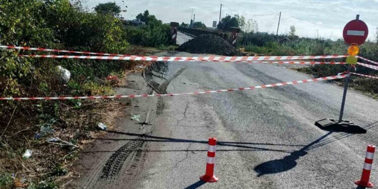 Στη Βουλή το θέμα της γέφυρας Αρσενίου Σκύδρας