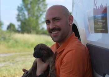 Στην κορυφή της Πανελλήνιας Ομοσπονδίας ο Δήμος Αλμωπίας για τη διαχείριση των αδέσποτων – Καθοριστική η συμβολή Θ. Σαμαρά και Φ. Παραστατίδη