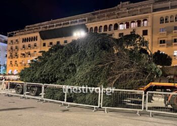 Θεσσαλονίκη: Έφτασε στην πλατεία Αριστοτέλους το χριστουγεννιάτικο έλατο ύψους 18 μέτρων