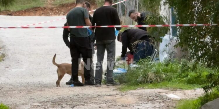 Με μαχαιριές στα χέρια η 75χρονη που δολοφόνησαν μέσα στο σπίτι της – Οι ληστές πίστευαν ότι απουσίαζε