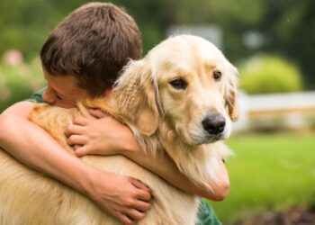 Ανακοίνωση του Δήμου Αλμωπίας για τους ιδιοκτήτες δεσποζόμενων ζώων συντροφιάς