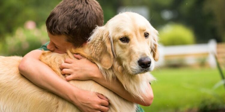 Ανακοίνωση του Δήμου Αλμωπίας για τους ιδιοκτήτες δεσποζόμενων ζώων συντροφιάς