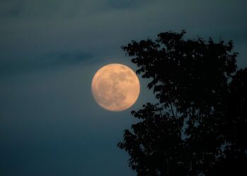Πανσέληνος Νοεμβρίου: Ποιες αλλαγές φέρνει το «Φεγγάρι του Κάστορα» για τρία ζώδια