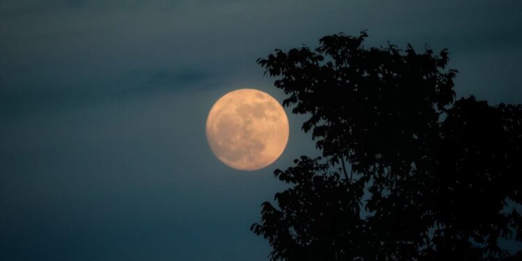 Πανσέληνος Νοεμβρίου: Ποιες αλλαγές φέρνει το «Φεγγάρι του Κάστορα» για τρία ζώδια