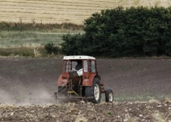 Θ. Τζάκρη: «Οι καθυστερημένες και κουτσουρεμένες αγροτικές επιδοτήσεις, ένα ακόμη Βατερλώ του επιτελικού κράτους»