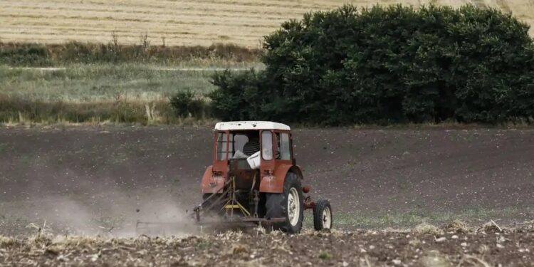 Θ. Τζάκρη: «Οι καθυστερημένες και κουτσουρεμένες αγροτικές επιδοτήσεις, ένα ακόμη Βατερλώ του επιτελικού κράτους»