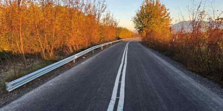 Ο Δήμος Πέλλας συνεχίζει με έργα – Ασφαλτόστρωση τμημάτων αγροτικών οδών στην Δ.Ε Μεγ. Αλεξάνδρου