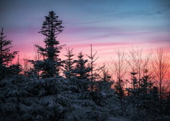 Καιρός – Τσατραφύλλιας: Σκληρό καρύδι ο αντικυκλώνας – Τι προβλέπει για τα Χριστούγεννα