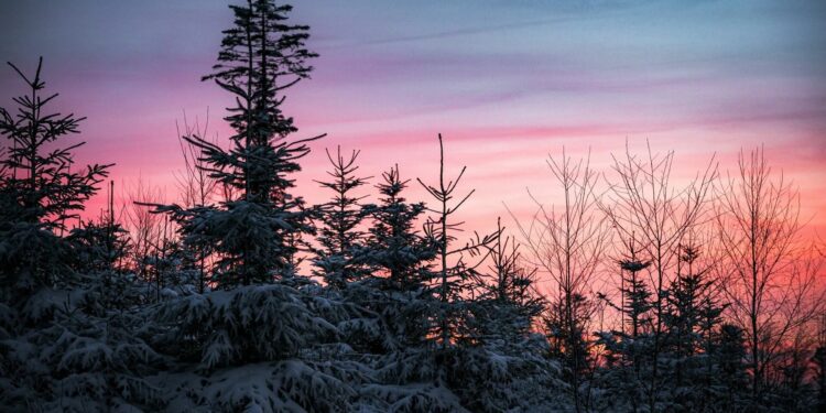 Καιρός – Τσατραφύλλιας: Σκληρό καρύδι ο αντικυκλώνας – Τι προβλέπει για τα Χριστούγεννα